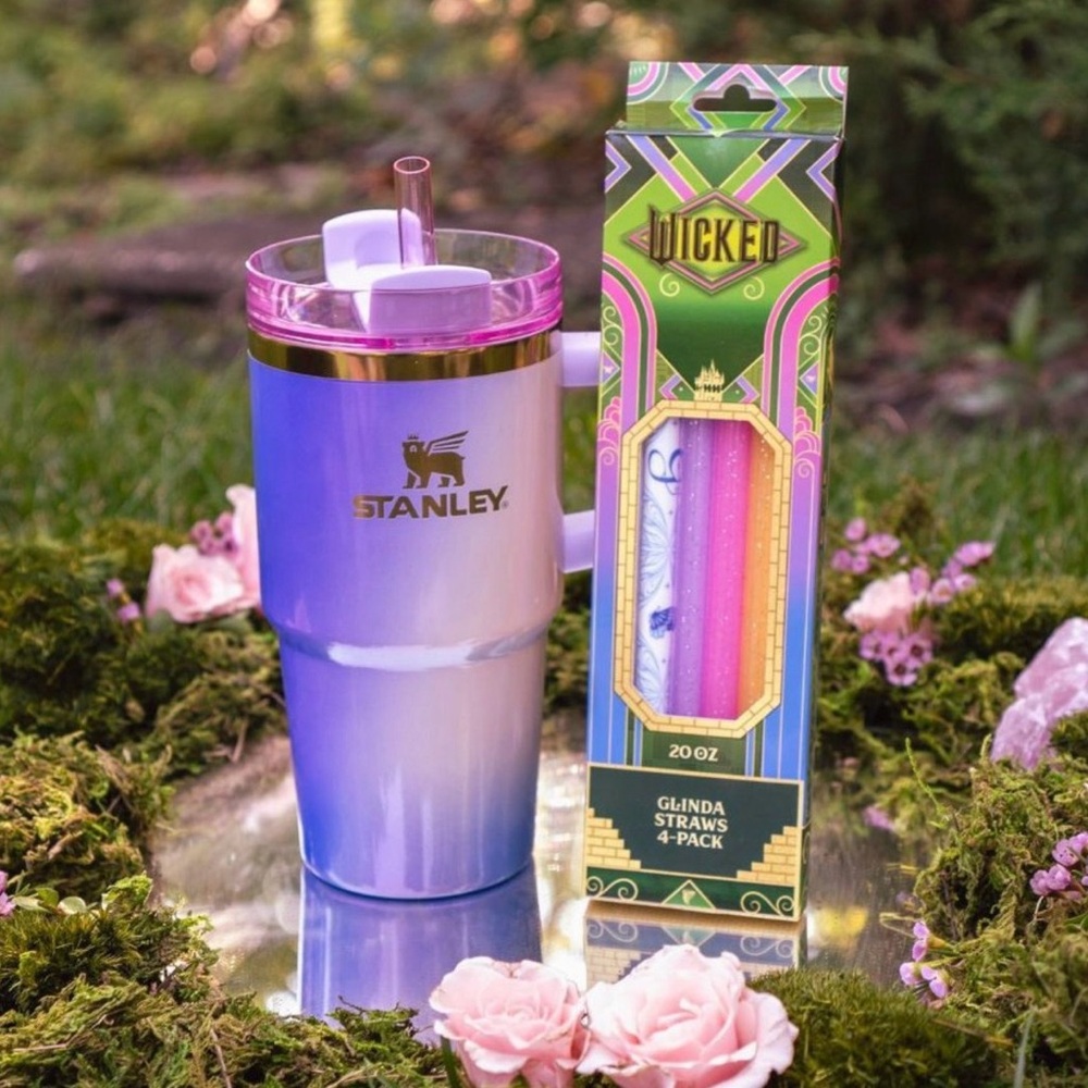 Target Stanley x Wicked 20Oz Flowstate Tumbler Glinda For Good & Glinda Straws